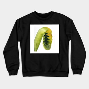 Abstract Crewneck Sweatshirt